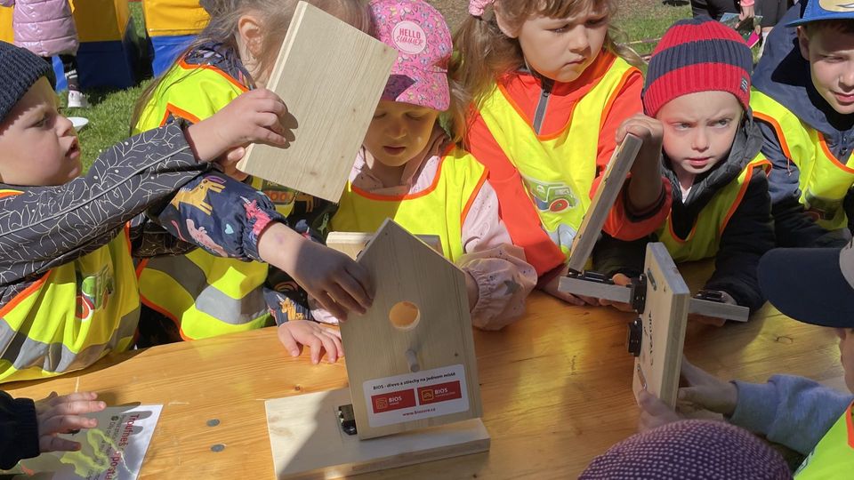 Vztah k př&iacute;rodě a environment&aacute;ln&iacute; vzděl&aacute;v&aacute;n&iacute;